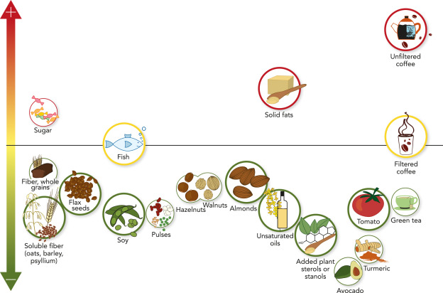 lower LDL cholesterol